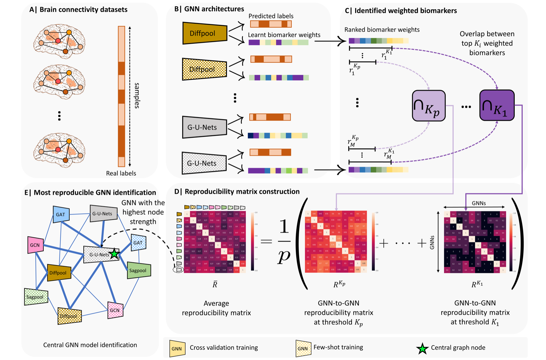 Research framework comparing graph neural networks and the reproducibility of brain biomarkers